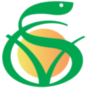 logo vet-svet